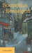 Soupçons à Besançon by Eveline Toillon