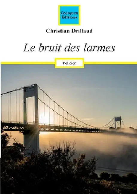 Le bruit des larmes by Drillaud, Christian