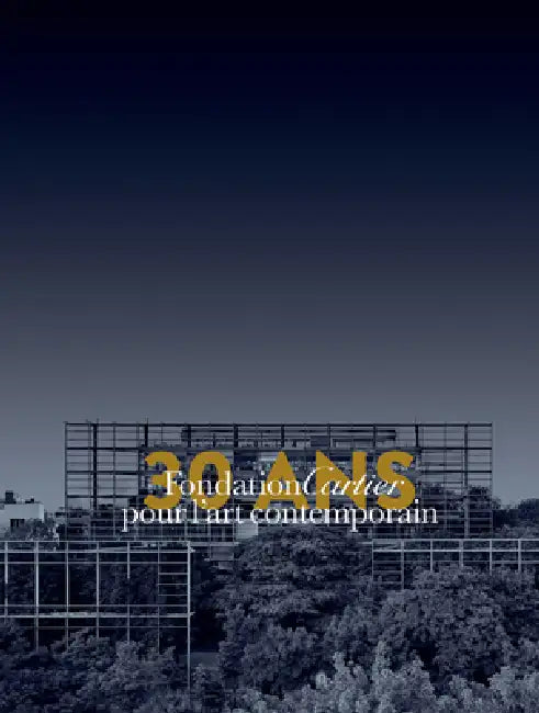 Thirty Years for Contemporary Art - Volume 1 by Alain Dominique Perrin