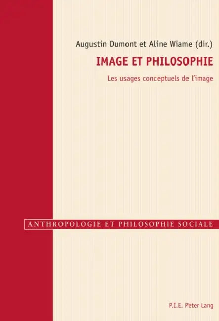 Image Et Philosophie: Les Usages Conceptuels de l'Image by Raphaël Gély, Augustin Dumont, Aline Wiame