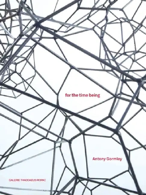 Antony Gormley: For the Time Being by Antony Gormley, Jill Van Coenegrachts, Alessandra Bellavita