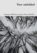 Tree unfolded by Marianic And Jean-Pierre Parra