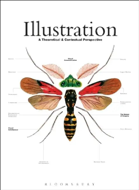 Illustration: A Theoretical and Contextual Perspective