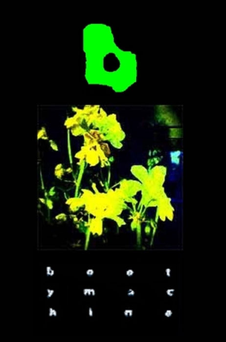 The bootymachine 2007: 366 days of experimental narration by Tristan Zand