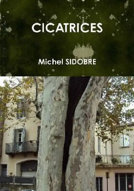 Cicatrices by Michel Sidobre