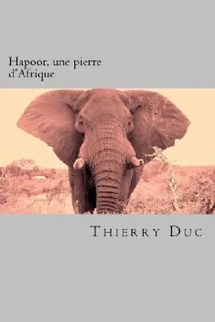 Hapoor, une pierre d'Afrique by Thierry Duc