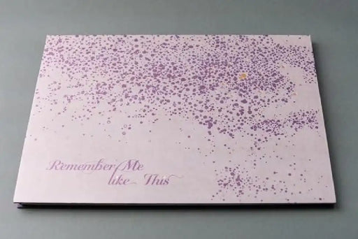 Remember Me Like This by Rachel Liu