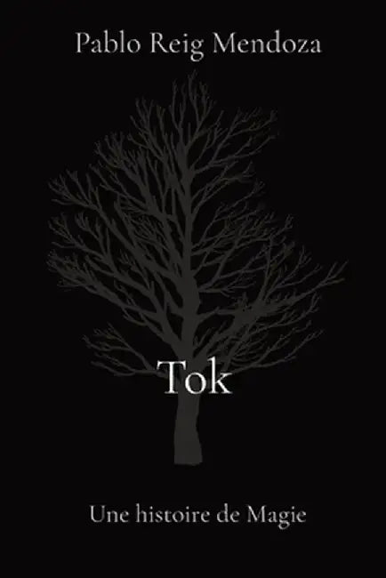 Tok: Une histoire de Magie by Pablo Reig Mendoza