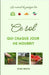 CE Sol Qui Chaque Jour Me Nourrit: Le manuel du potager bio by Crusson, Didier