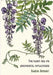 The plant and its ornamental applications by Grasset, Eugène