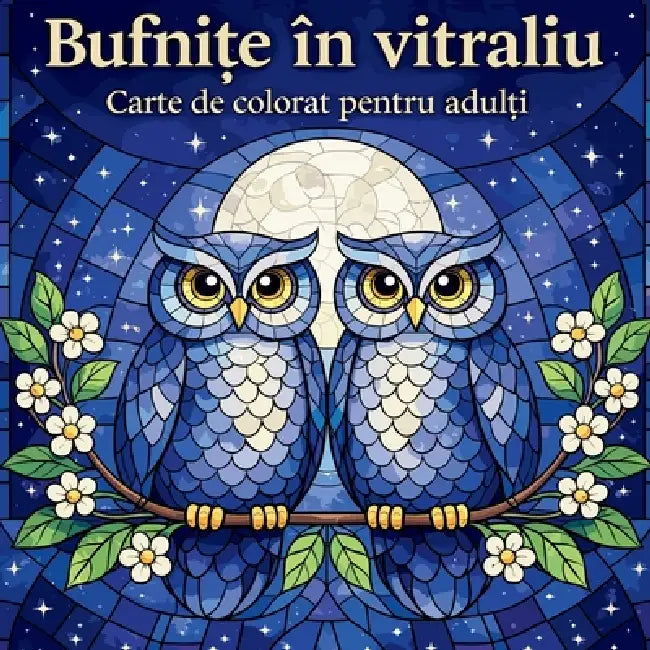 Bufnițe în vitraliu - Carte de colorat pentru adulți by Johana Iahn