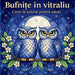 Bufnițe în vitraliu - Carte de colorat pentru adulți by Johana Iahn