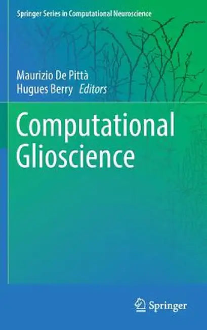 Computational Glioscience by Maurizio de Pittà