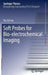 Soft Probes for Bio-Electrochemical Imaging by Tzu-En Lin