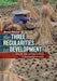 The Three Regularities in Development: Growth, Jobs and Macro Policy in Developing Countries by Moazam Mahmood