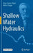 Shallow Water Hydraulics by Oscar Castro-Orgaz