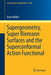 Supergeometry, Super Riemann Surfaces and the Superconformal Action Functional by Enno Keßler