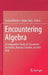Encountering Algebra: A Comparative Study of Classrooms in Finland, Norway, Sweden, and the USA by Cecilia Kilhamn