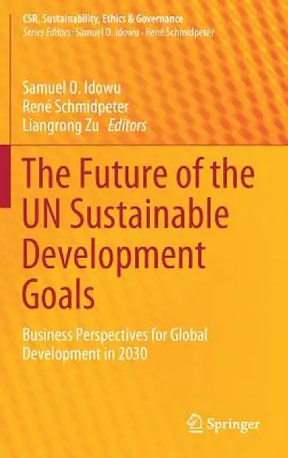 The Future of the Un Sustainable Development Goals: Business Perspectives for Global Development in 2030 by Samuel O. Idowu