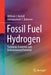 Fossil Fuel Hydrogen: Technical, Economic and Environmental Potential by William J. Nuttall