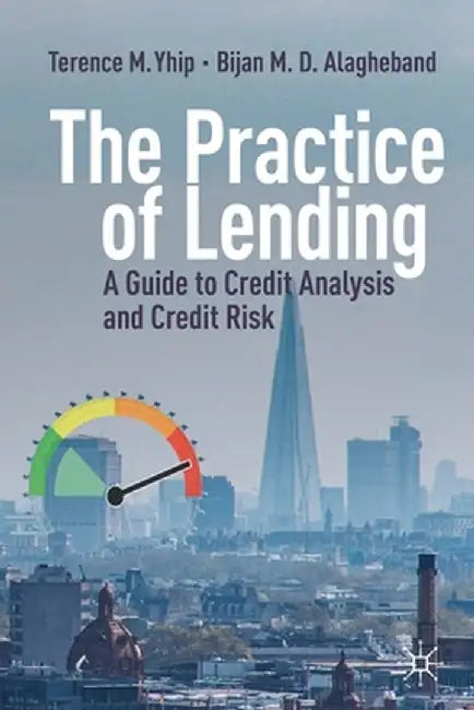 The Practice Of Lending: A Guide To Credit Analysis And Credit Risk by Terence M. Yhip, Bijan M. D. Alagheband