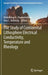 The Study of Continental Lithosphere Electrical Conductivity, Temperature and Rheology by Abdullkhay A. Zhamaletdinov