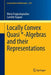 Locally Convex Quasi *-Algebras and their Representations by Fragoulopoulou