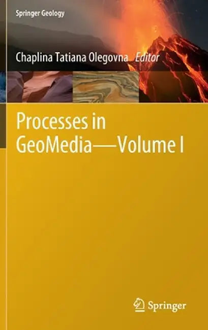 Processes in Geomedia--Volume I by Chaplina Tatiana Olegovna