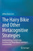 The Hairy Bikie and Other Metacognitive Strategies: Implementing a Frontal Lobe Prosthesis for Those Whose Learning Is Compromised by Jeffrey Baron Levi