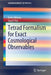 Tetrad Formalism for Exact Cosmological Observables by Ermis Mitsou