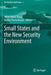 Small States and the New Security Environment by Anne-Marie Brady