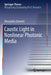 Caustic Light in Nonlinear Photonic Media by Alessandro Zannotti