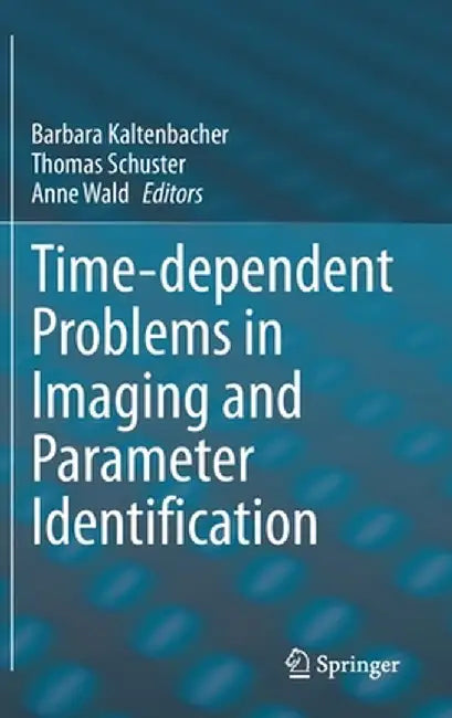 Time-Dependent Problems in Imaging and Parameter Identification by Barbara Kaltenbacher