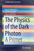 The Physics of the Dark Photon: A Primer by Marco Fabbrichesi