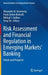 Risk Assessment and Financial Regulation in Emerging Markets' Banking: Trends and Prospects by Alexander M. Karminsky