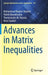 Advances in Matrix Inequalities by Mohammad Bagher Ghaemi