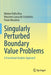 Singularly Perturbed Boundary Value Problems: A Functional Analytic Approach by Matteo Dalla Riva