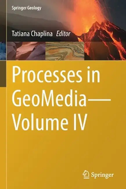 Processes in Geomedia--Volume IV by Tatiana Chaplina