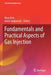 Fundamentals and Practical Aspects of Gas Injection by Reza Azin