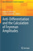 Anti-Differentiation and the Calculation of Feynman Amplitudes by Johannes Blümlein