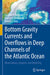 Bottom Gravity Currents and Overflows in Deep Channels of the Atlantic Ocean: Observations, Analysis, and Modeling by Eugene G. Morozov