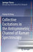 Collective Excitations in the Antisymmetric Channel of Raman Spectroscopy by Hsiang-Hsi Kung