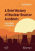 A Brief History of Nuclear Reactor Accidents: From Leipzig to Fukushima by Serge Marguet