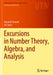 Excursions in Number Theory Algebra and Analysis by Ireland
