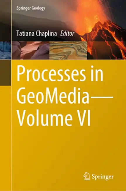 Processes in Geomedia--Volume VI by Tatiana Chaplina