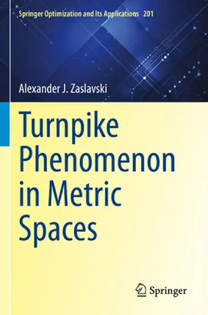 Turnpike Phenomenon in Metric Spaces by Alexander J. Zaslavski