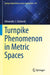 Turnpike Phenomenon in Metric Spaces by Alexander J. Zaslavski