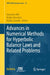 Advances in Numerical Methods for Hyperbolic Balance Laws and Related Problems by Giacomo Albi