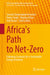 Africa's Path to Net-Zero: Exploring Scenarios for a Sustainable Energy Transition by Samuel Chukwujindu Nwokolo