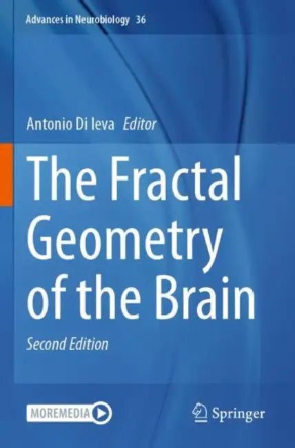 The Fractal Geometry of the Brain by Antonio Di Ieva